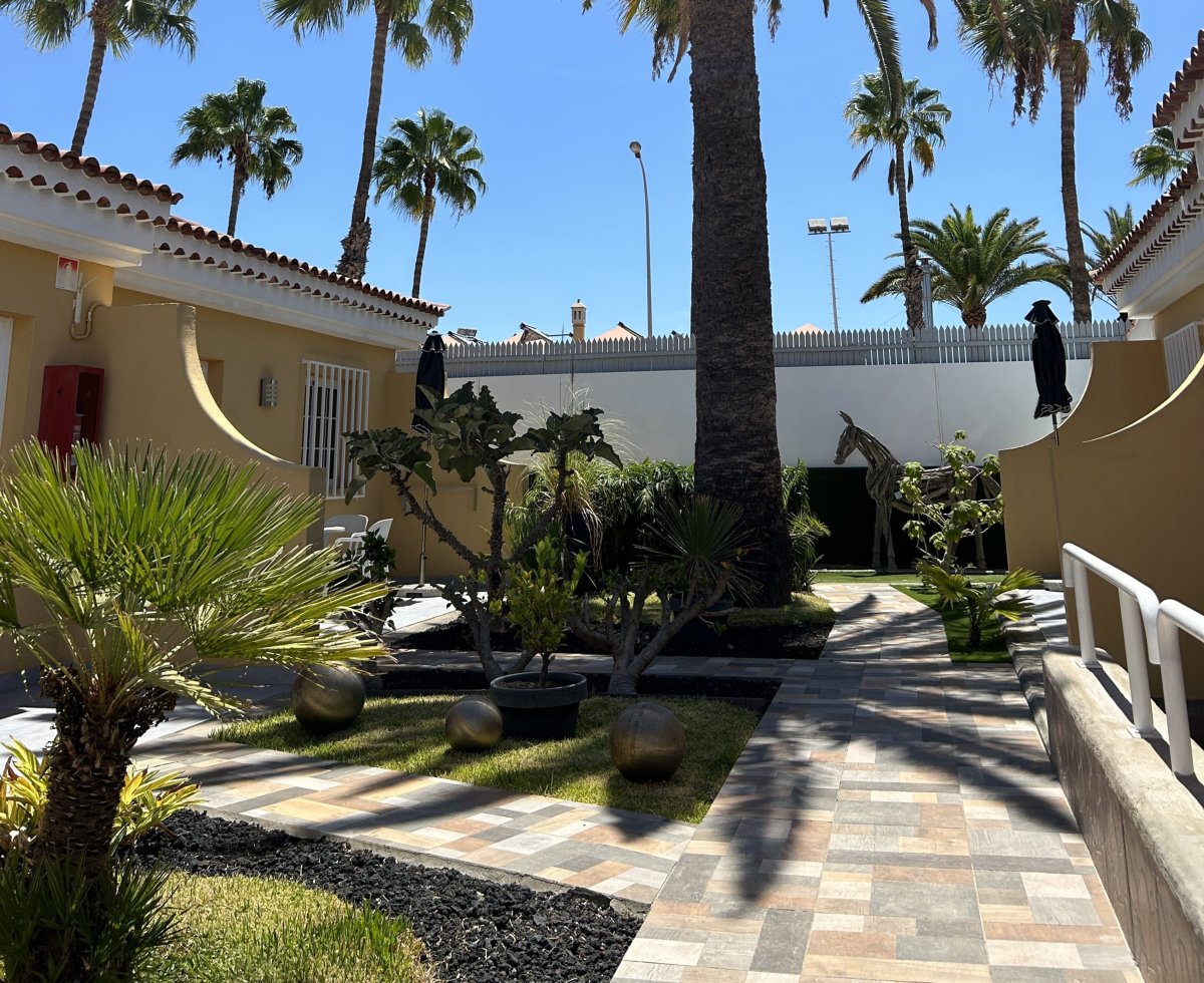 Club Torso Gran Canaria Gay Resort Men Only Gaycation